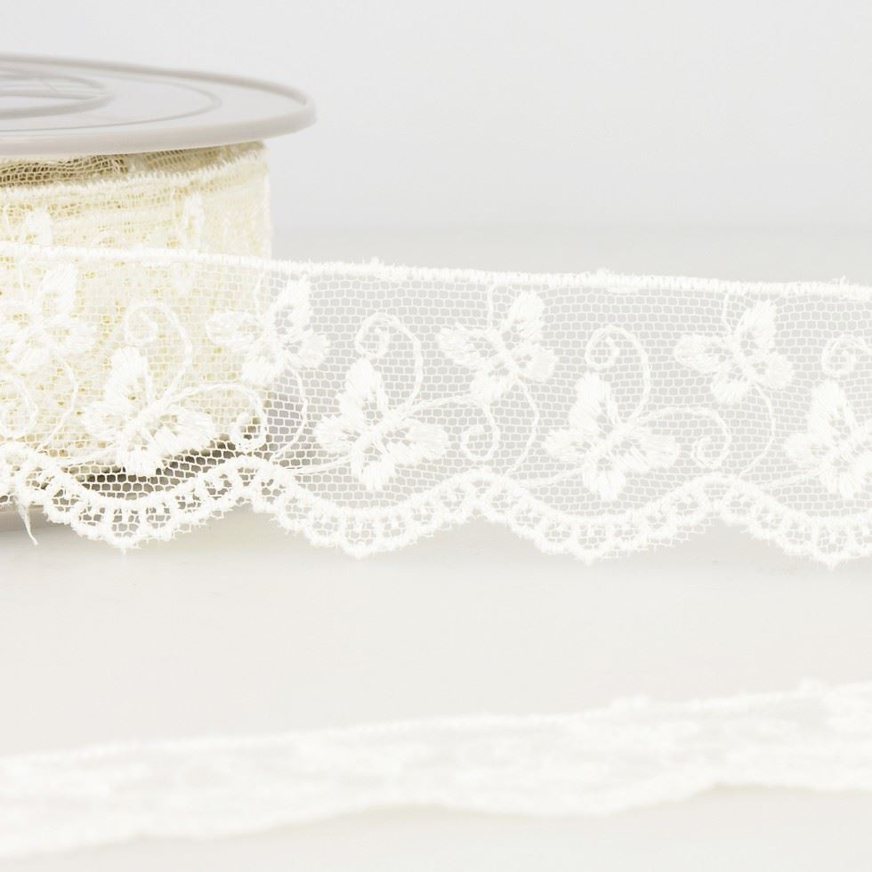 Stephanoise Ivory Embroidery Tulle Lace Trim
