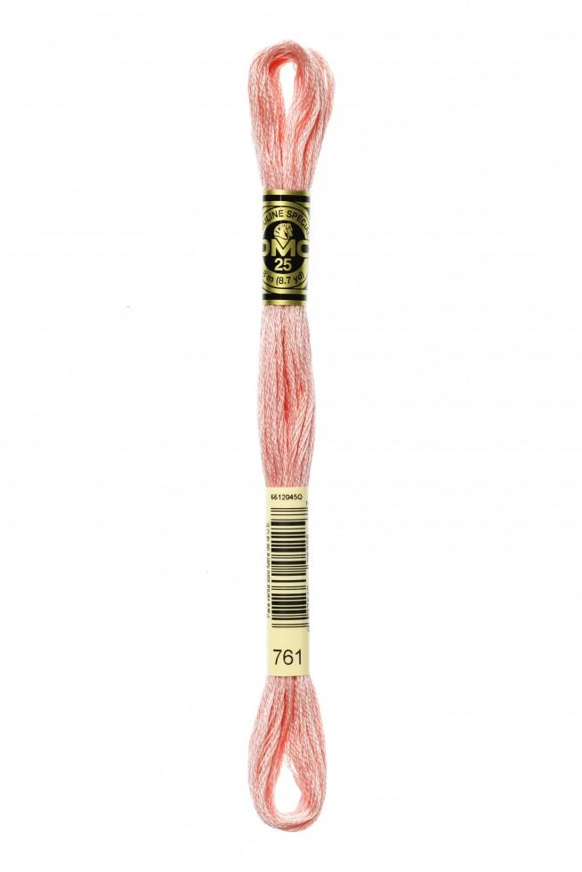 DMC Stranded Cotton Embroidery Thread 761
 