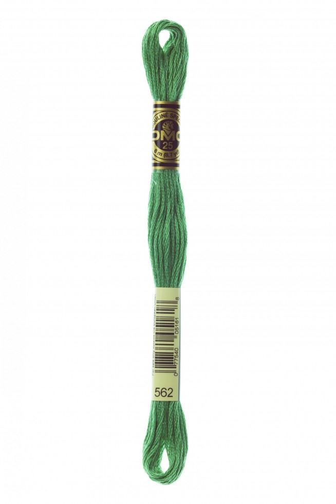DMC Stranded Cotton Embroidery Thread 562
 