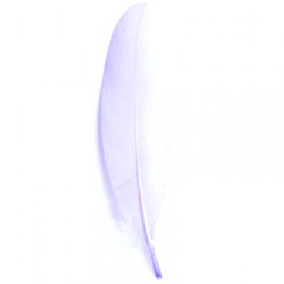 Trimits Lilac Goose Craft Feathers (Value Pack Of 5)
