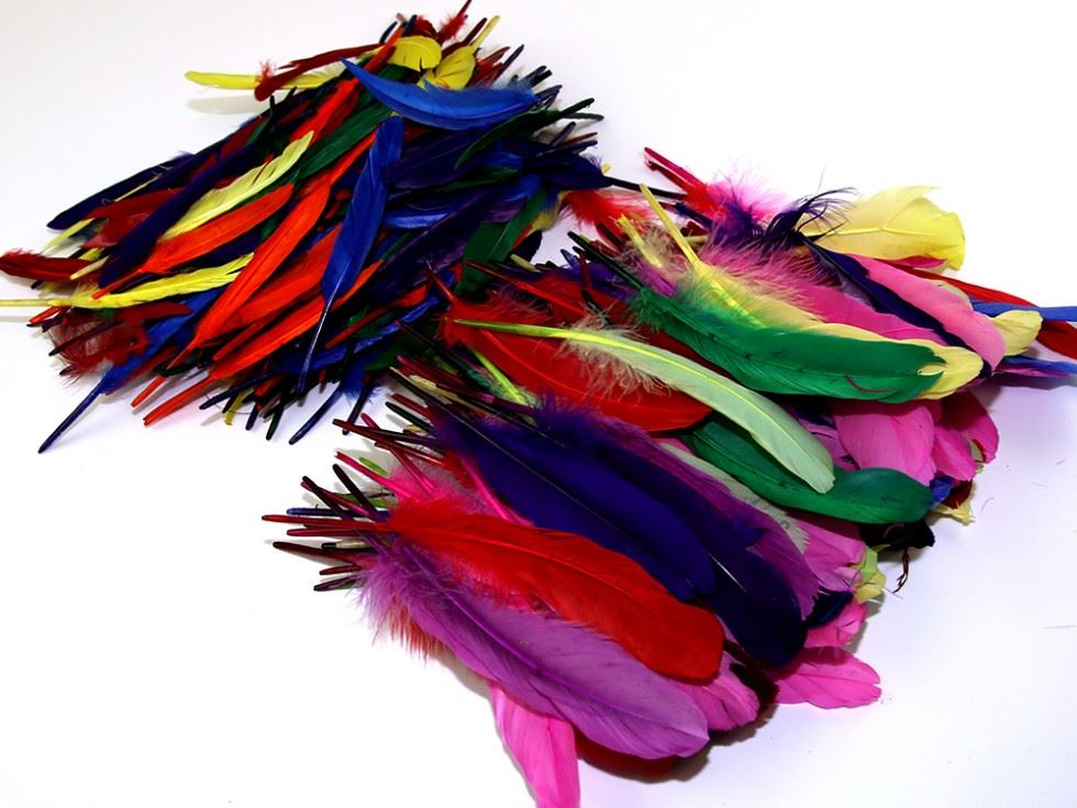 Assorted Colours Feathers Value Pack