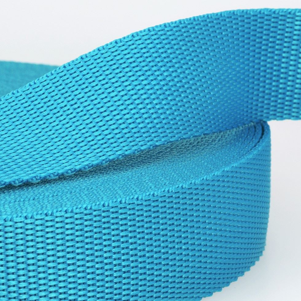 Stephanoise Polypropylene Webbing Peacock