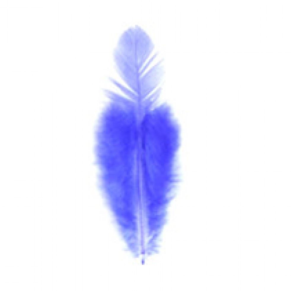 Trimits Purple Hen Craft Feathers (Value Pack Of 5)