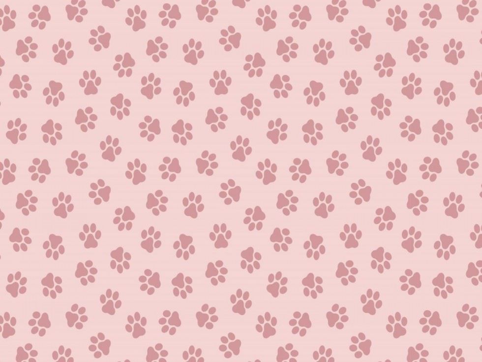 100% Cotton Poplin Fabric Coral