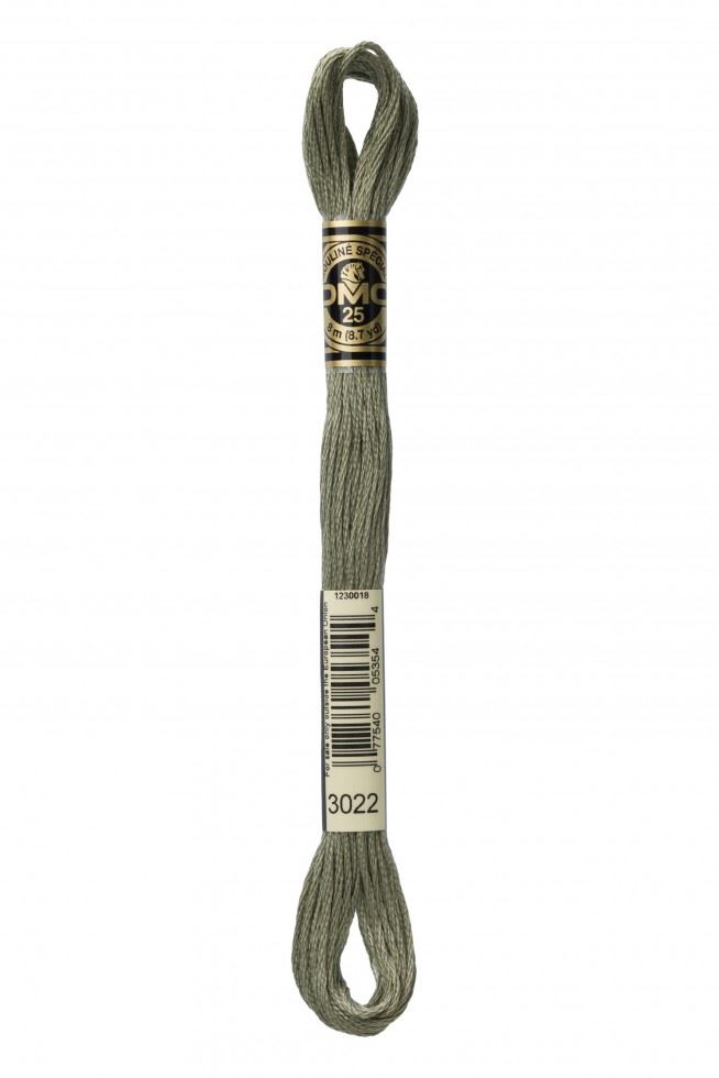 DMC Stranded Cotton Embroidery Thread 3022
 
