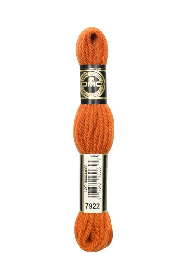 DMC Tapestry Wool 7922
 