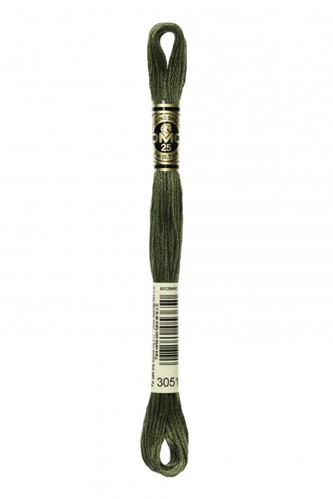 DMC Stranded Cotton Embroidery Thread 3051
 