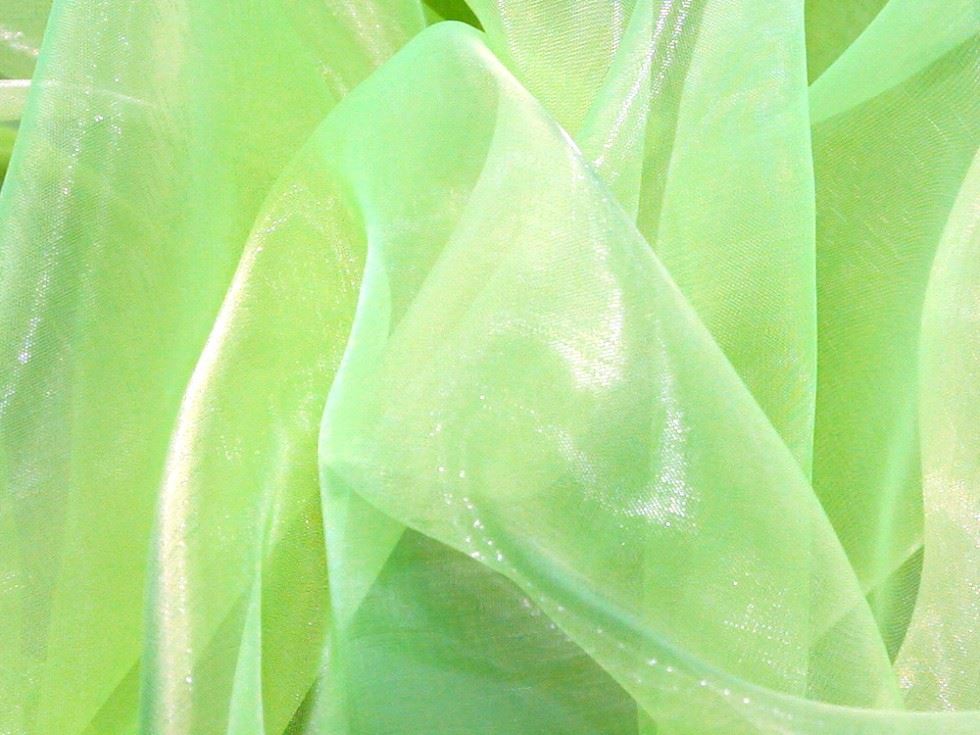 Deadstock Sheer Organza Fabric Flo Green
 