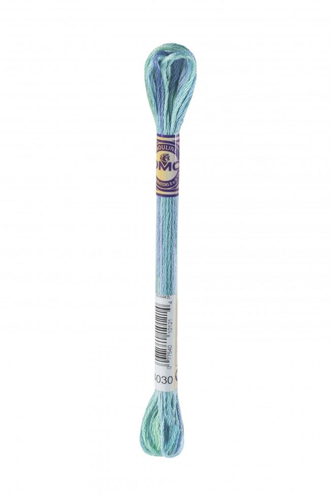 DMC Color Variations Embroidery Thread 4030
 