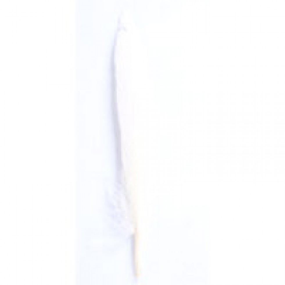 Trimits Cream Duck Craft Feathers (Value Pack Of 5)