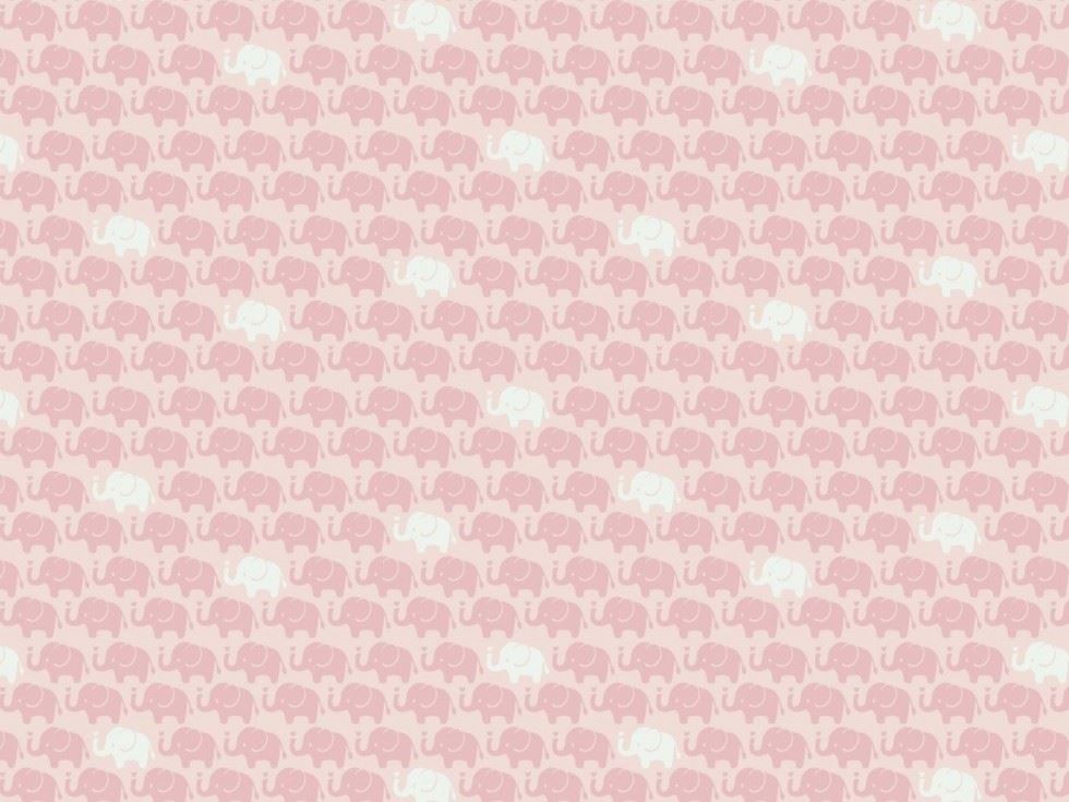 Rose 100% Cotton Poplin Fabric