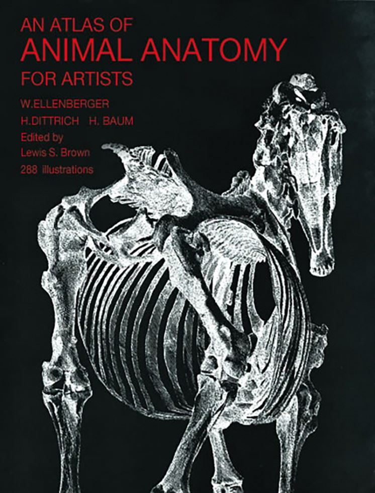 An atlas of animal anatomy for artists, by W. Ellenberger Paperback NEW - Image 9