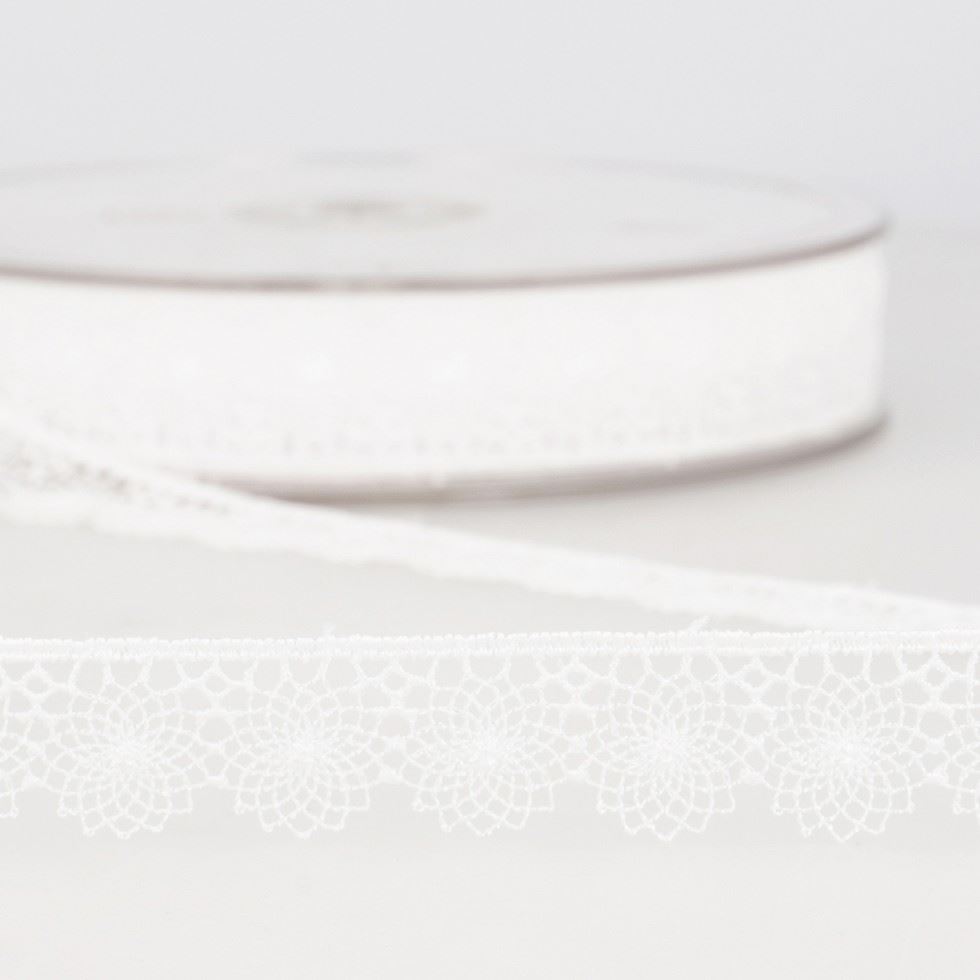 Stephanoise White Embroidery Tulle Lace Trim