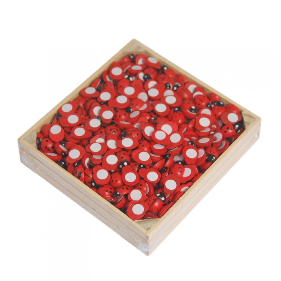 Crate of Ladybirds
 
