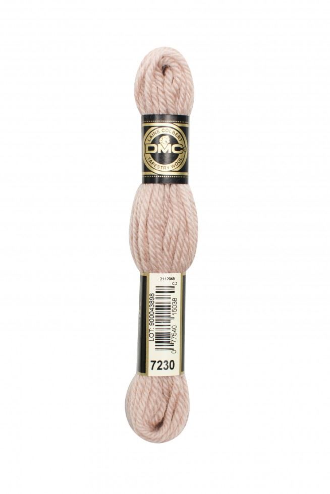 DMC Tapestry Wool 7230
 