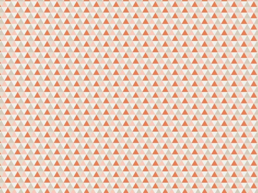 Orange 100% Cotton Poplin Fabric