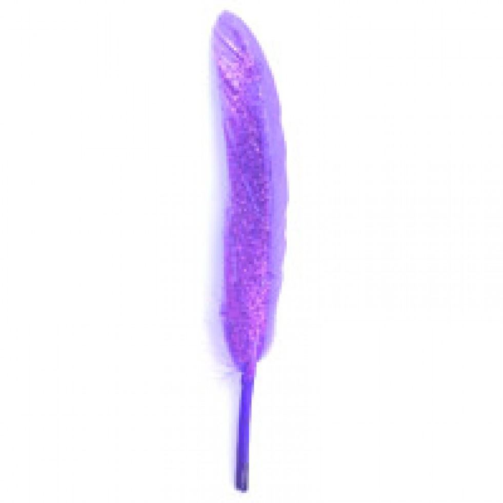 Trimits Purple Feathers With Glitter (Value Pack Of 5)