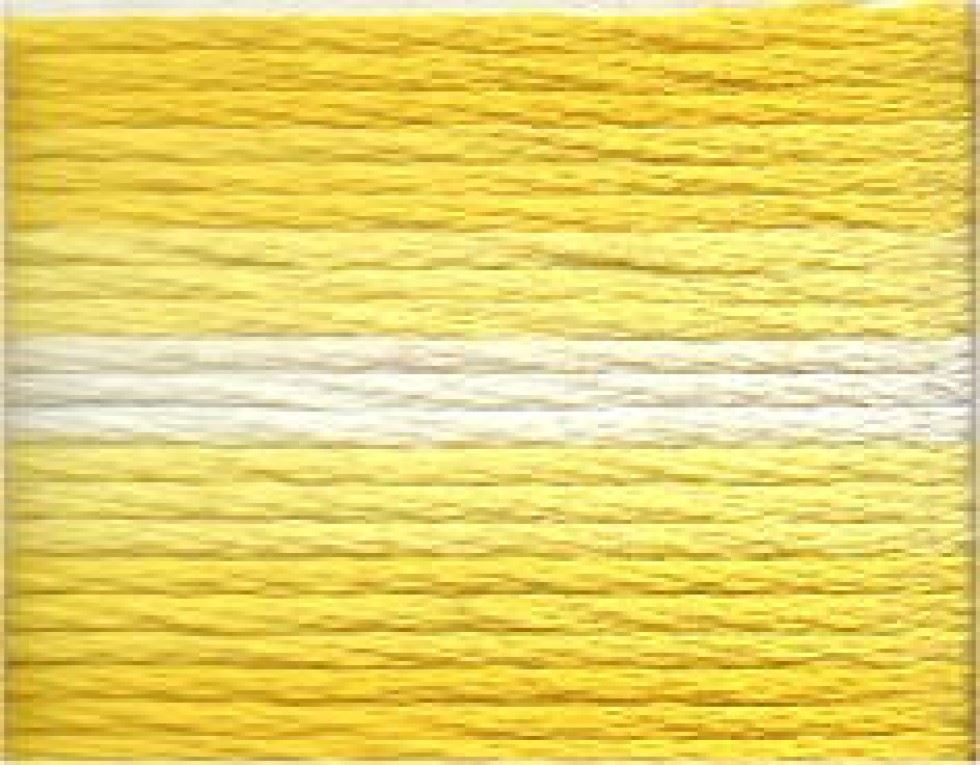 Anchor Stranded Cotton Embroidery Thread (Value Pack) 1217
 