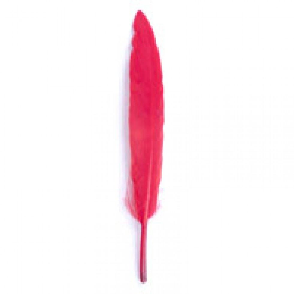 Trimits Red Duck Craft Feathers (Value Pack Of 5)