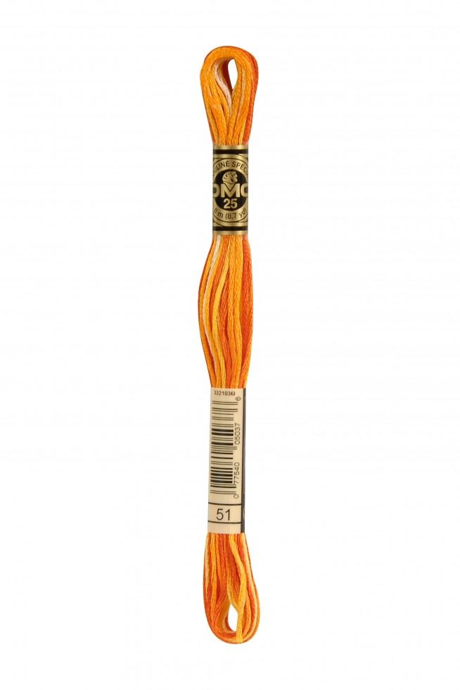 DMC Stranded Cotton Embroidery Thread 51
 