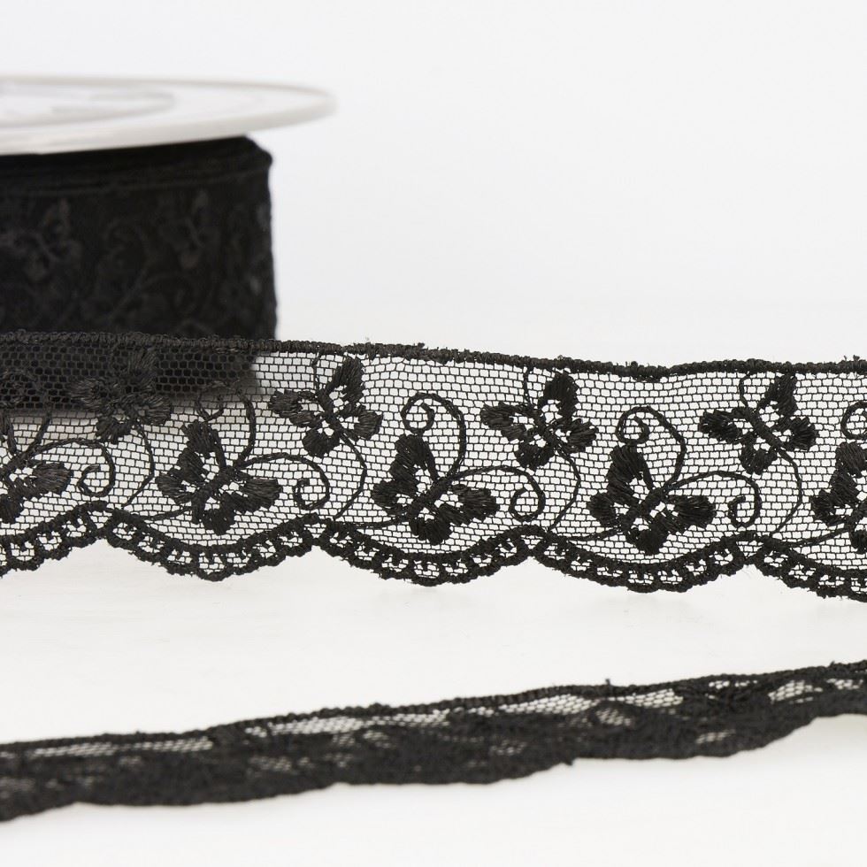 Stephanoise Black Embroidery Tulle Lace Trim