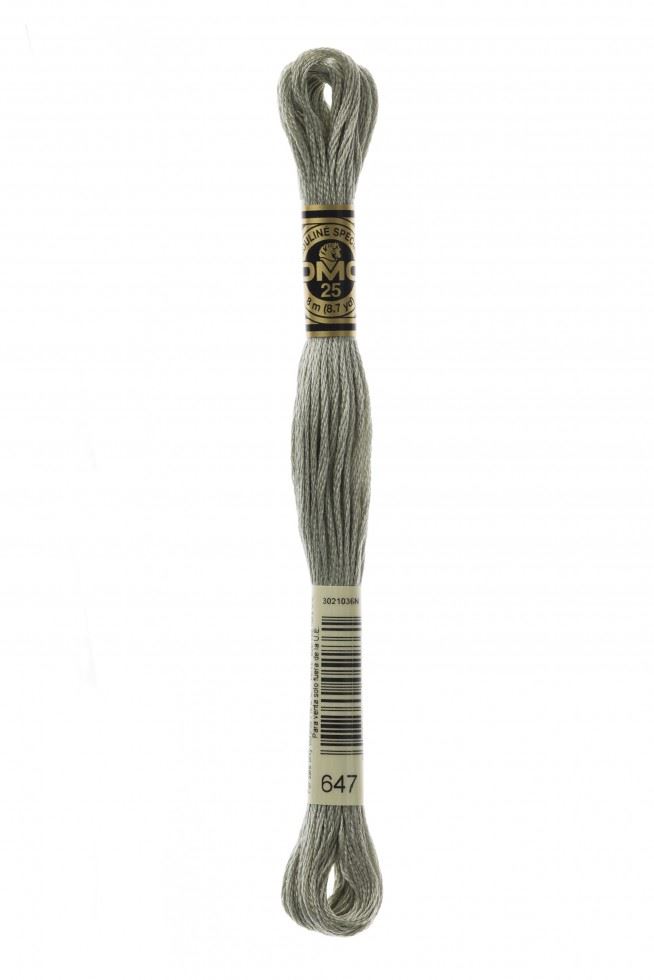 DMC Stranded Cotton Embroidery Thread 647
 