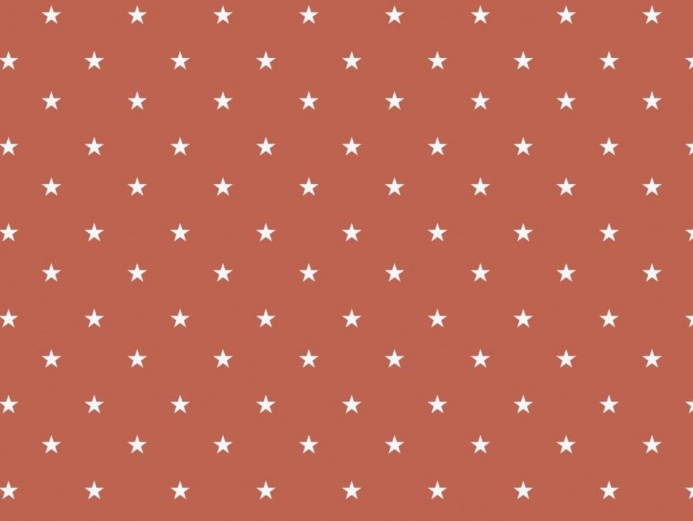 100% Cotton Poplin Fabric Brique