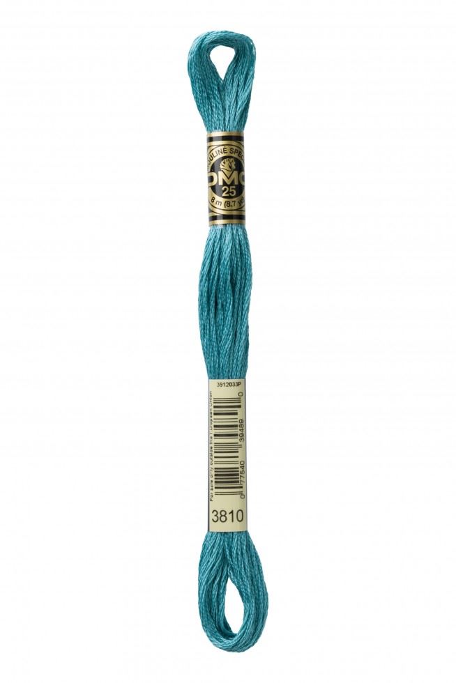 DMC Stranded Cotton Embroidery Thread 3810
 