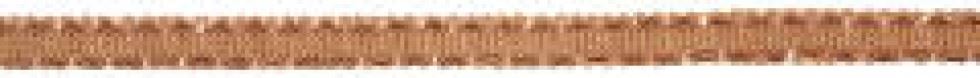Essential Trimmings Beige Gimped Braid Trim