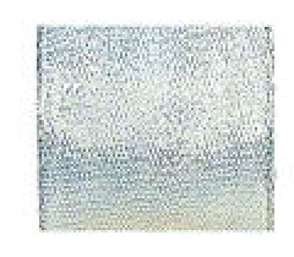 Berwick Offray Silver Firefly Wire Edge Ribbon
