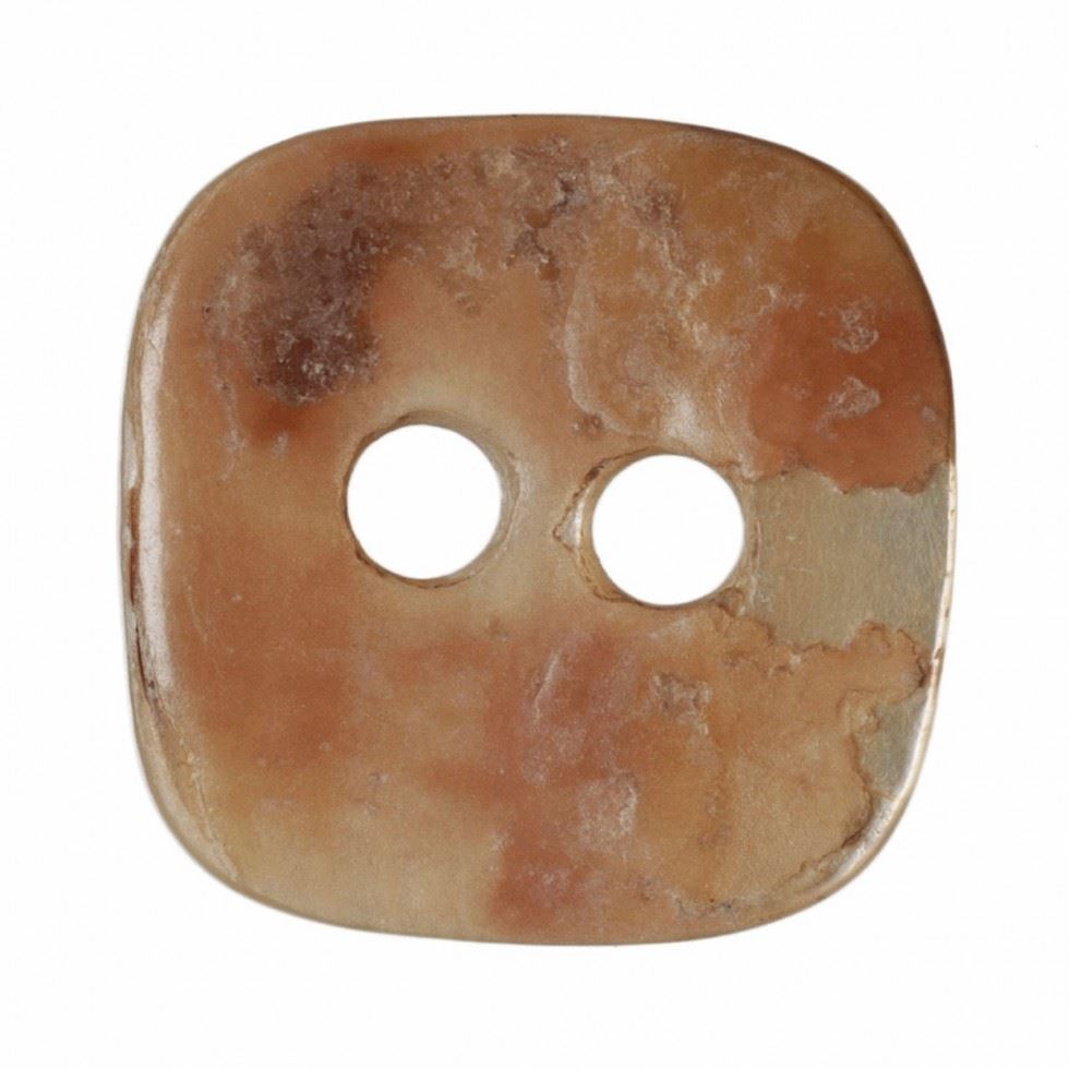 Hemline Square Shell Buttons Cream