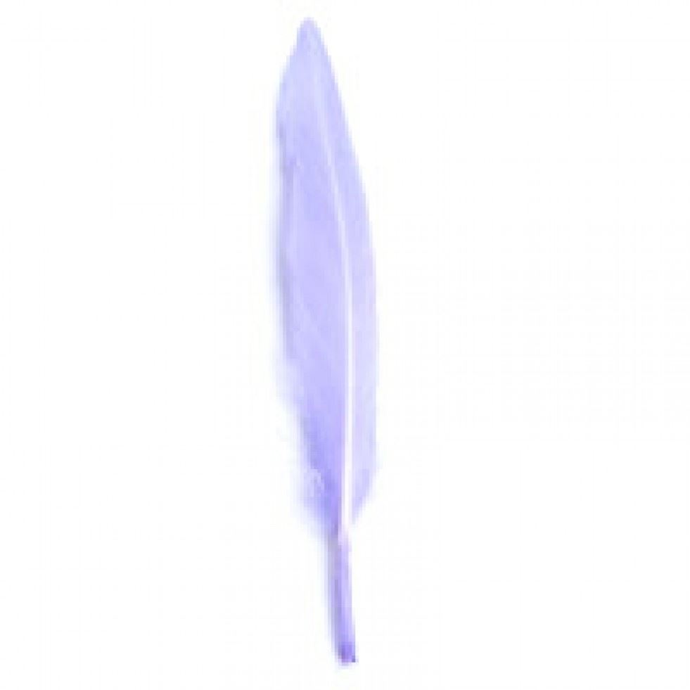 Trimits Lilac Duck Craft Feathers (Value Pack Of 5)