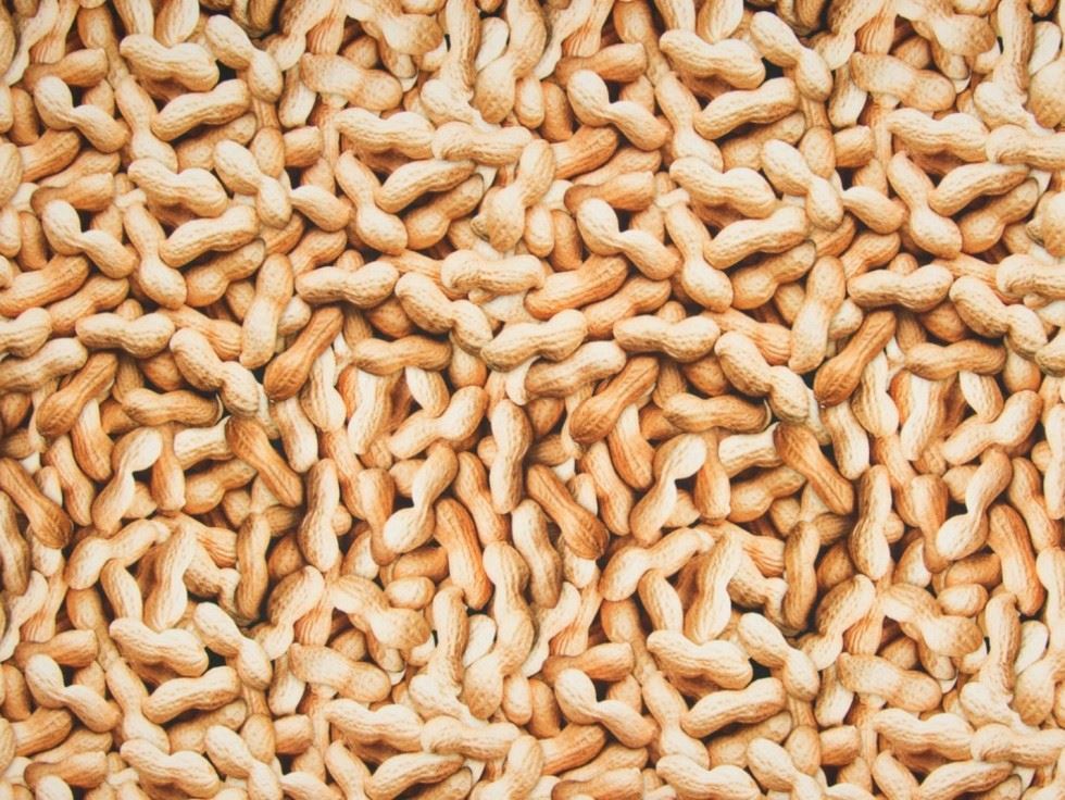 Beige Deadstock Cotton Jersey Stretch Knit Fabric