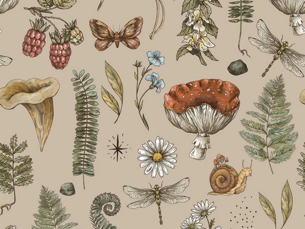 Little Johnny 100% Cotton Fabric