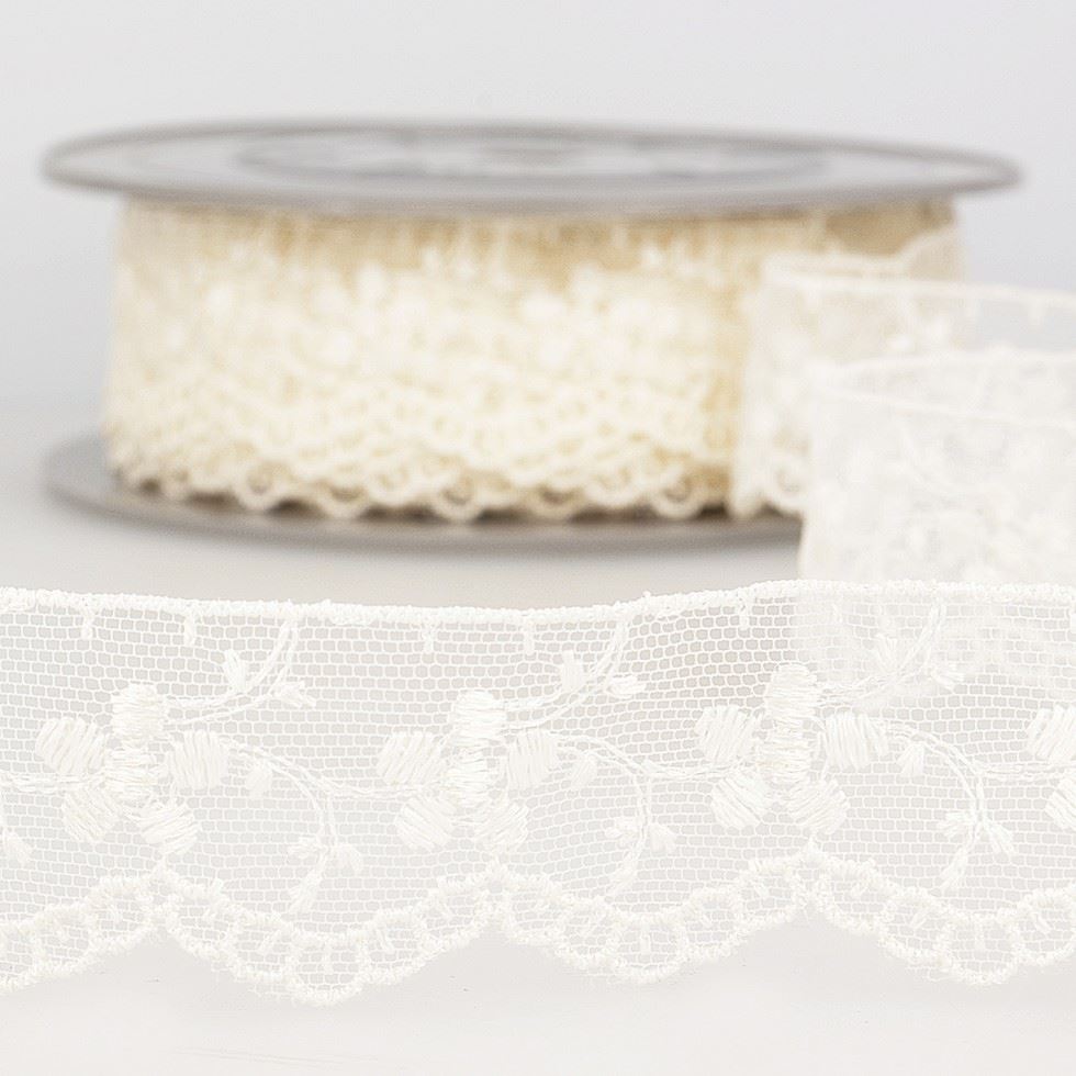 Stephanoise Ivory Embroidery Tulle Lace Trim