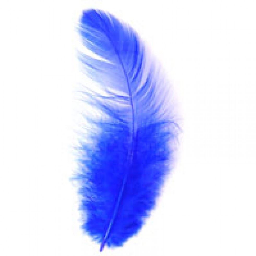 Trimits Royal Blue Hen Craft Feathers (Value Pack Of 5)