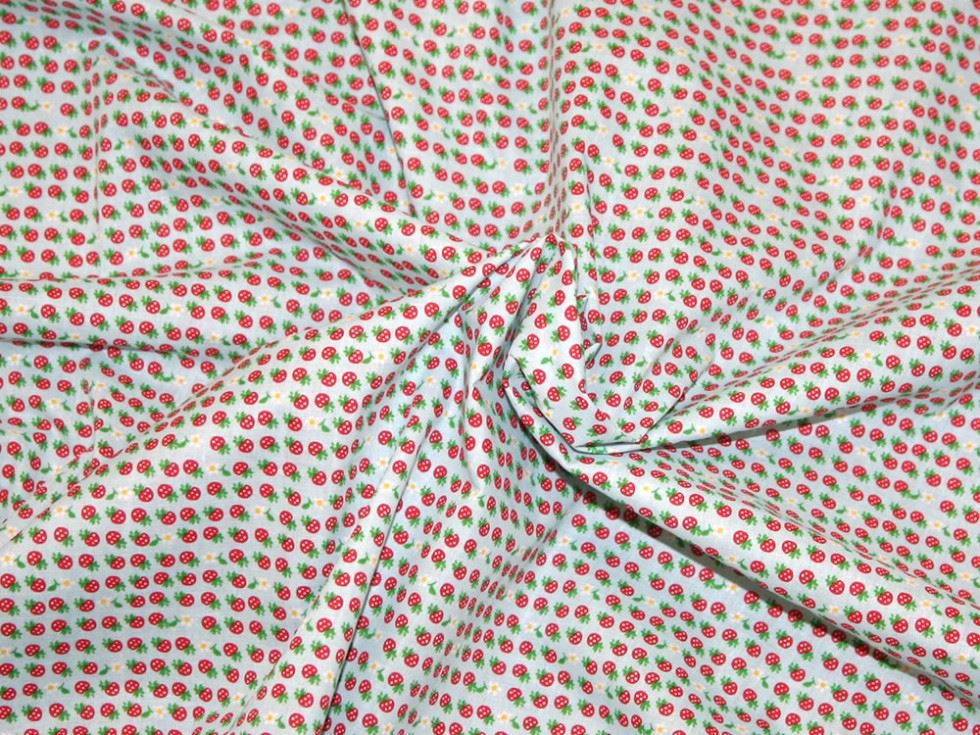 Blue Printed Polycotton Fabric