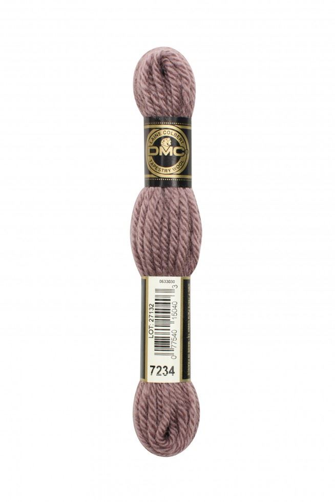 DMC Tapestry Wool 7234
 