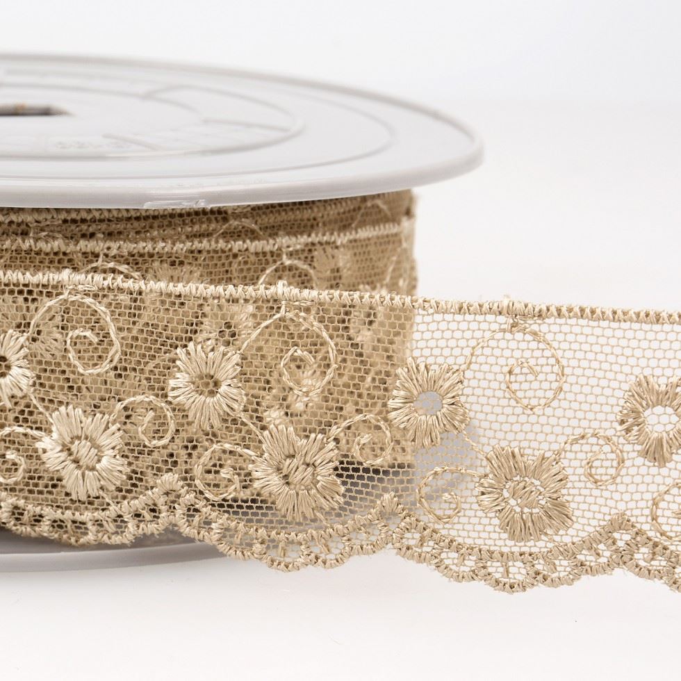 Stephanoise Embroidery Tulle Lace Trim Beige
 