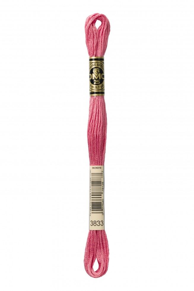 DMC Stranded Cotton Embroidery Thread 3833
 