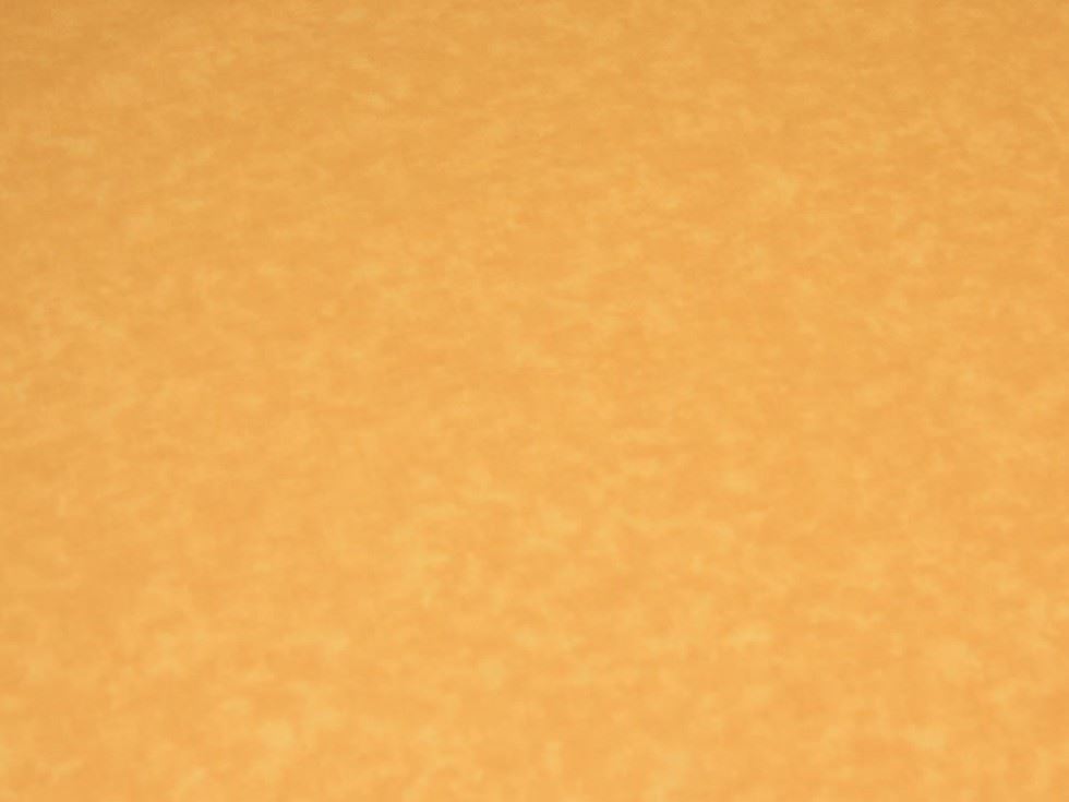 100% Cotton Poplin Fabric 708 Pale Rust