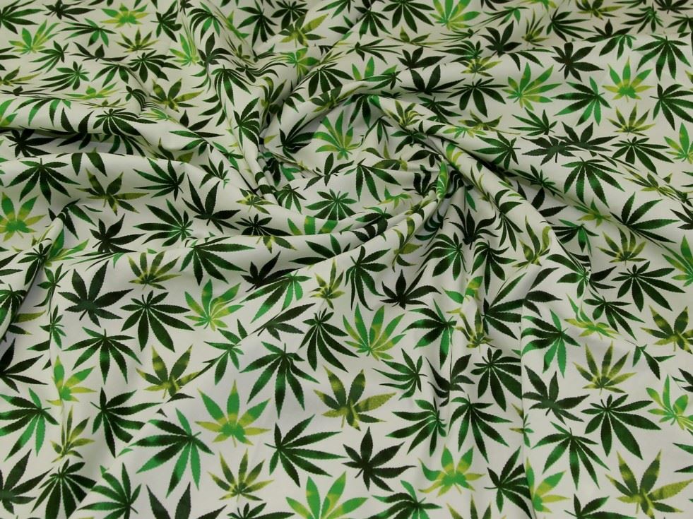 Rose And Hubble Ivory 100% Cotton Poplin Fabric