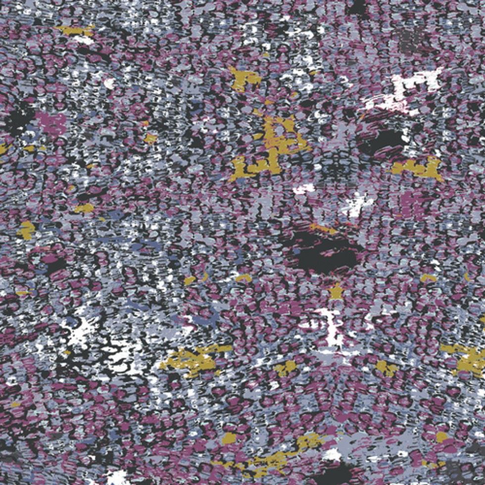 Art Gallery Fabrics Grid 100% Cotton Poplin Fabric Wing Magnified Mauve