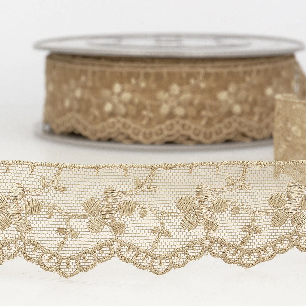 Stephanoise Beige Embroidery Tulle Lace Trim
