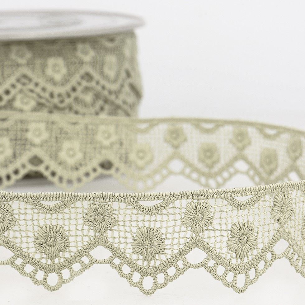 Stephanoise Taupe Guipure Lace Trim