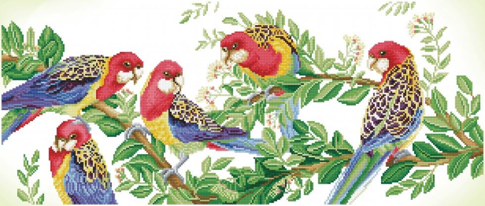 Diamond Dotz Diamond Painting Kit Eastern Rosella Gathering
 