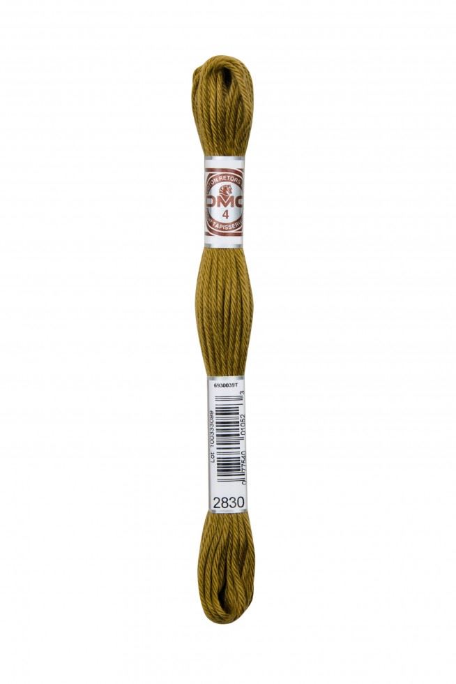 Dmc 2830 Soft Cotton Embroidery Thread