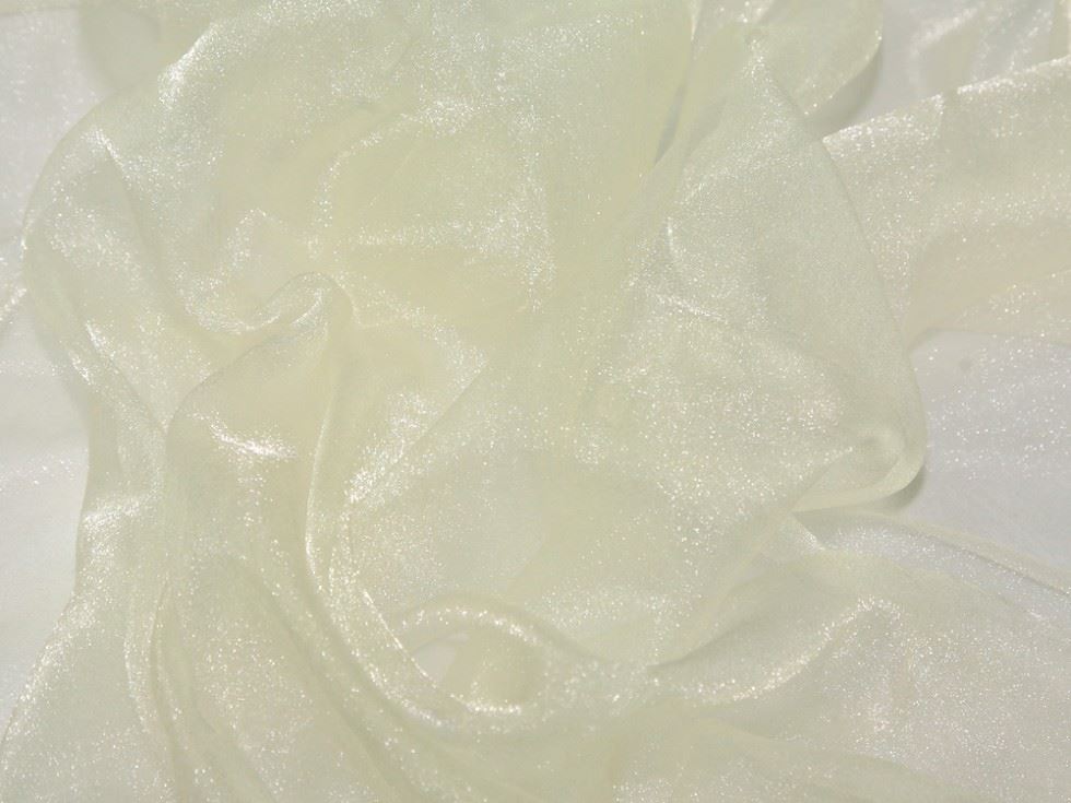 Cream Deadstock Crystal Organza Fabric