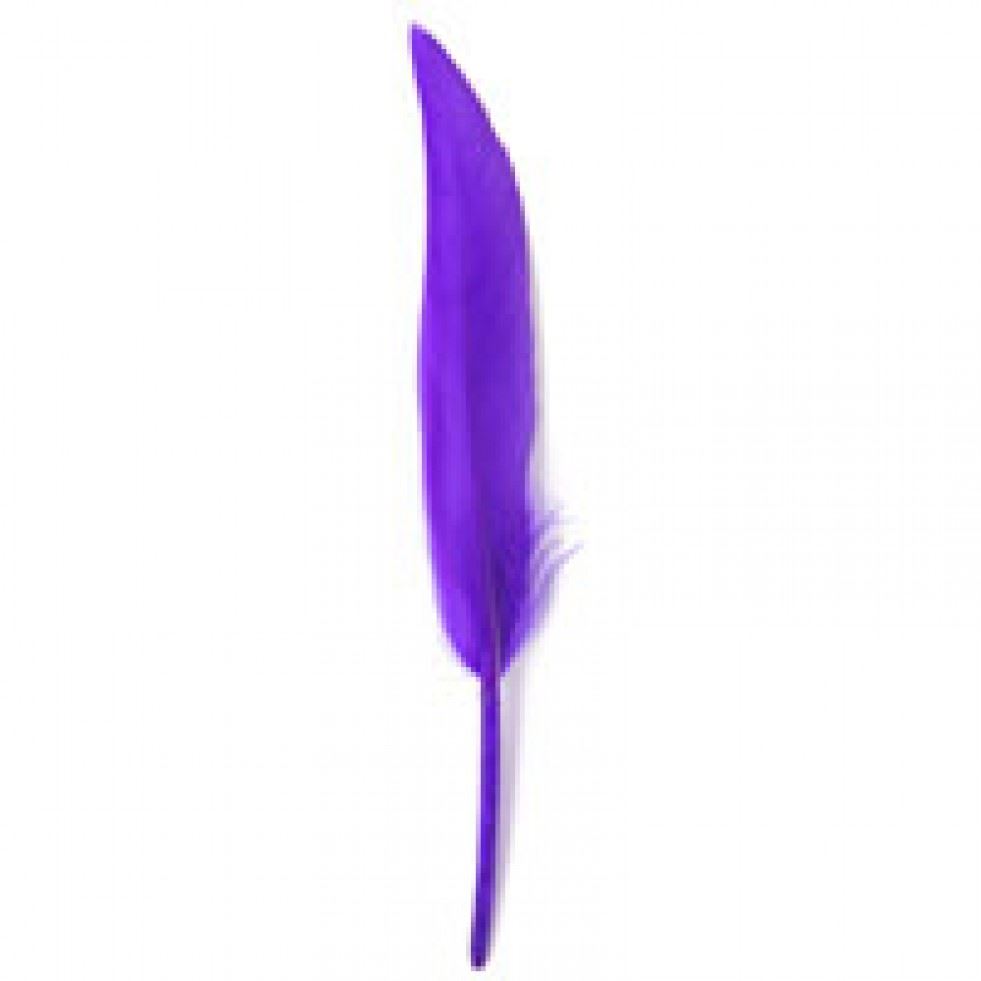 Trimits Purple Duck Craft Feathers (Value Pack Of 5)