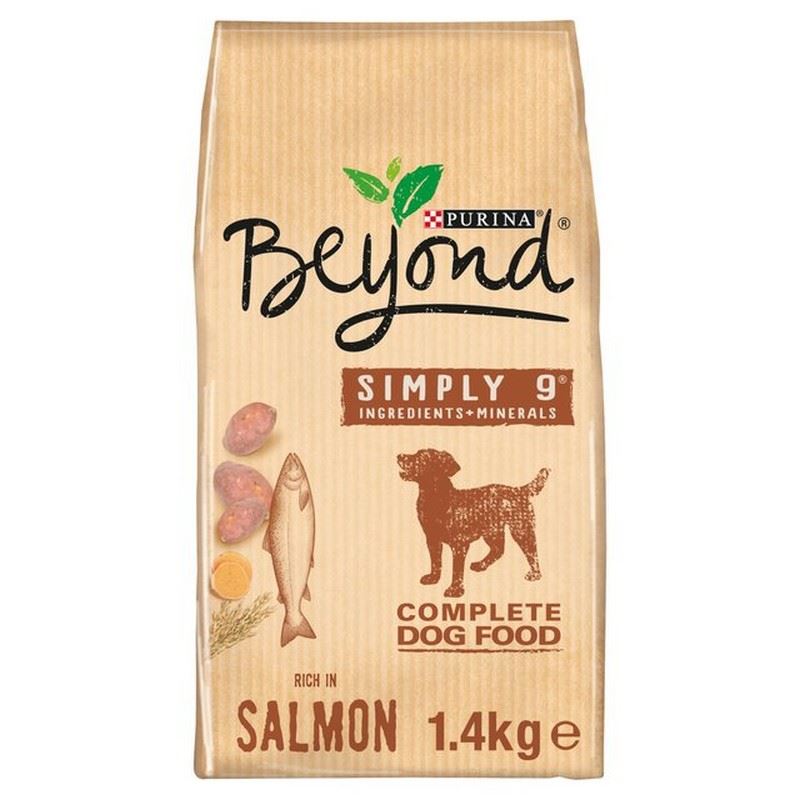 beyond salmon dog food